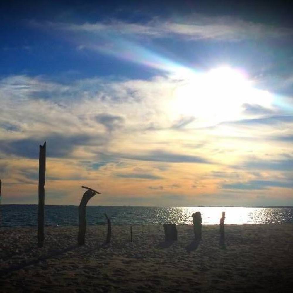 Meet your Posher, Linda